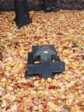 image of grave number 556381